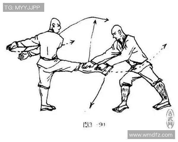 深入分析上海滑板队区域防守战术的独特魅力与实战应用