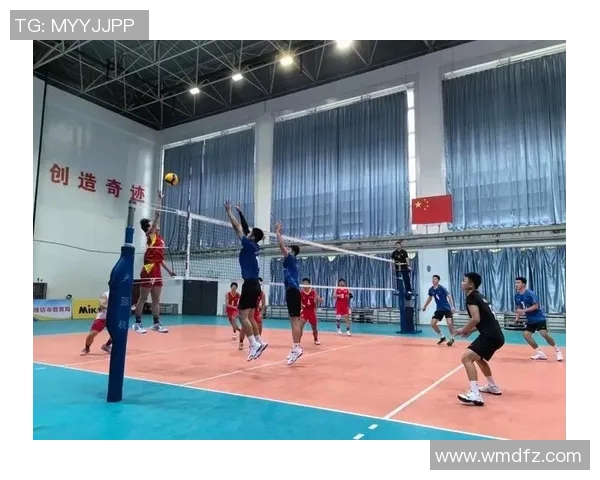 南京排球队实力分析与数据解读探讨其在联赛中的表现与发展潜力 南京排球队实力分析与数据解读探讨其在联赛中的表现与发展潜力