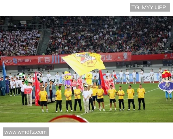 成都足球队与南京足球队赛后分析实力对比与未来展望